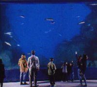Marine Aquarium