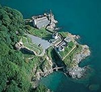Dartmouth Castle