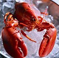 Shellfish